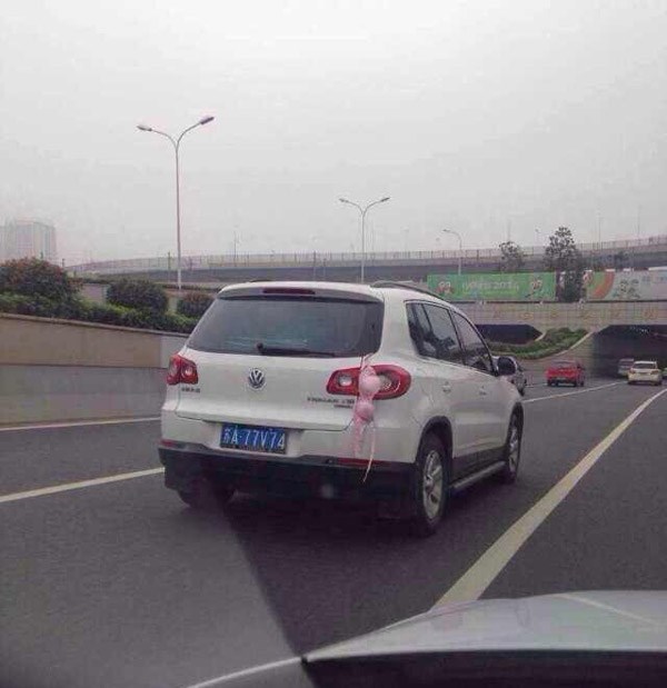 南京 内衣女 翻车_南京大学(2)