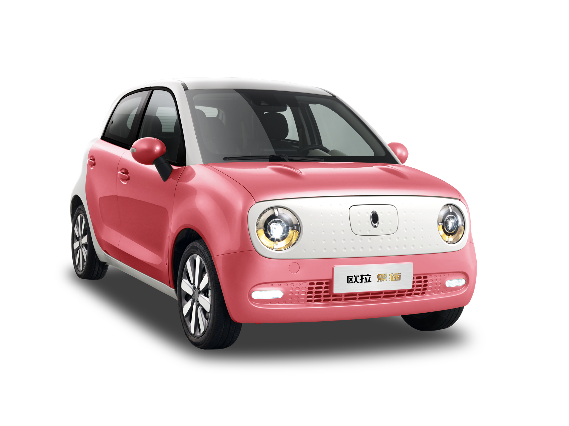 小身材大智慧,欧拉黑猫黑科技满满6.98万起售_南京车网